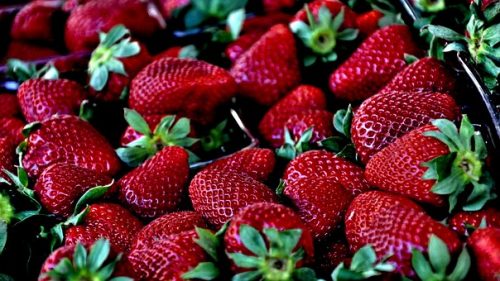strawberry-629180__340